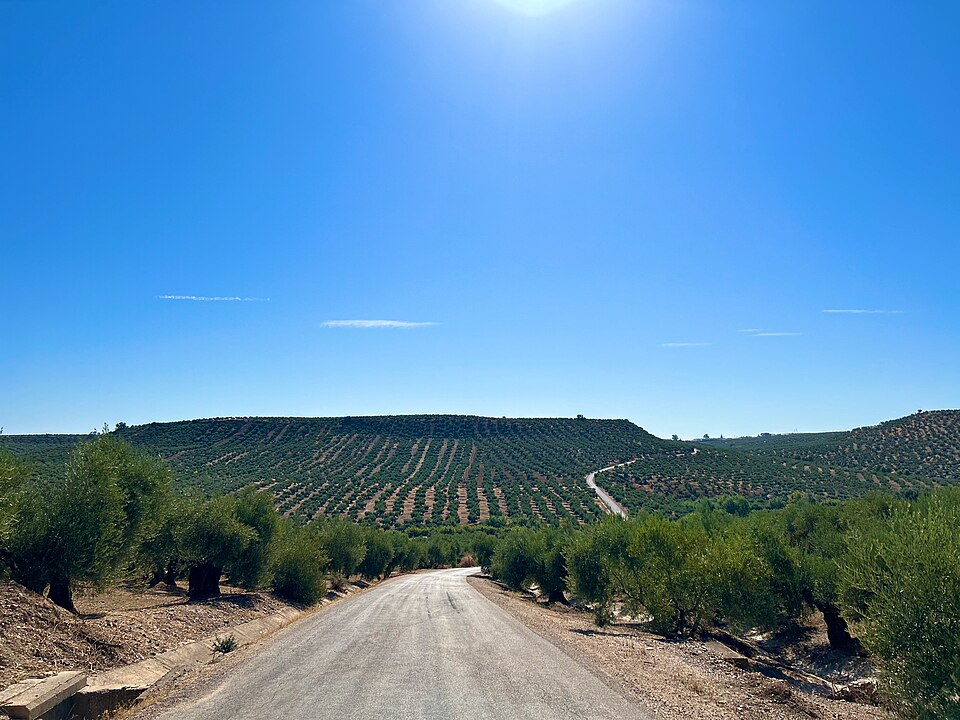 Foto 1 — Arjonilla, Jaén (23750)