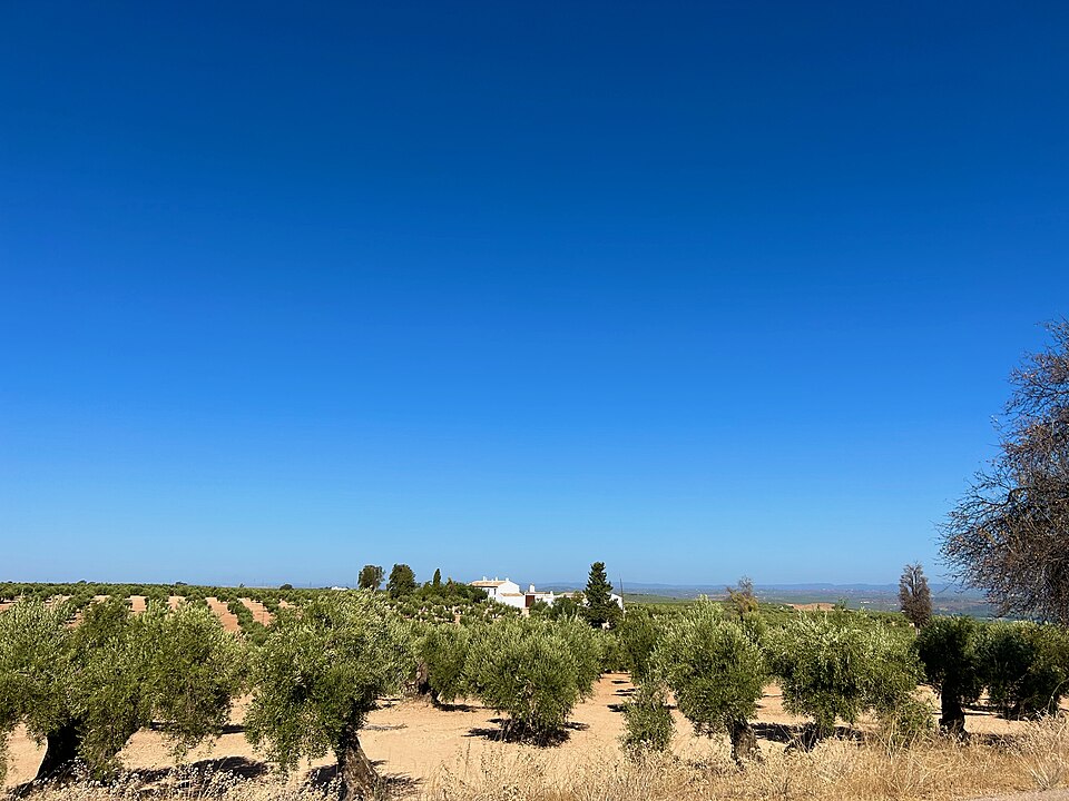 Foto 3 — Arjonilla, Jaén (23750)