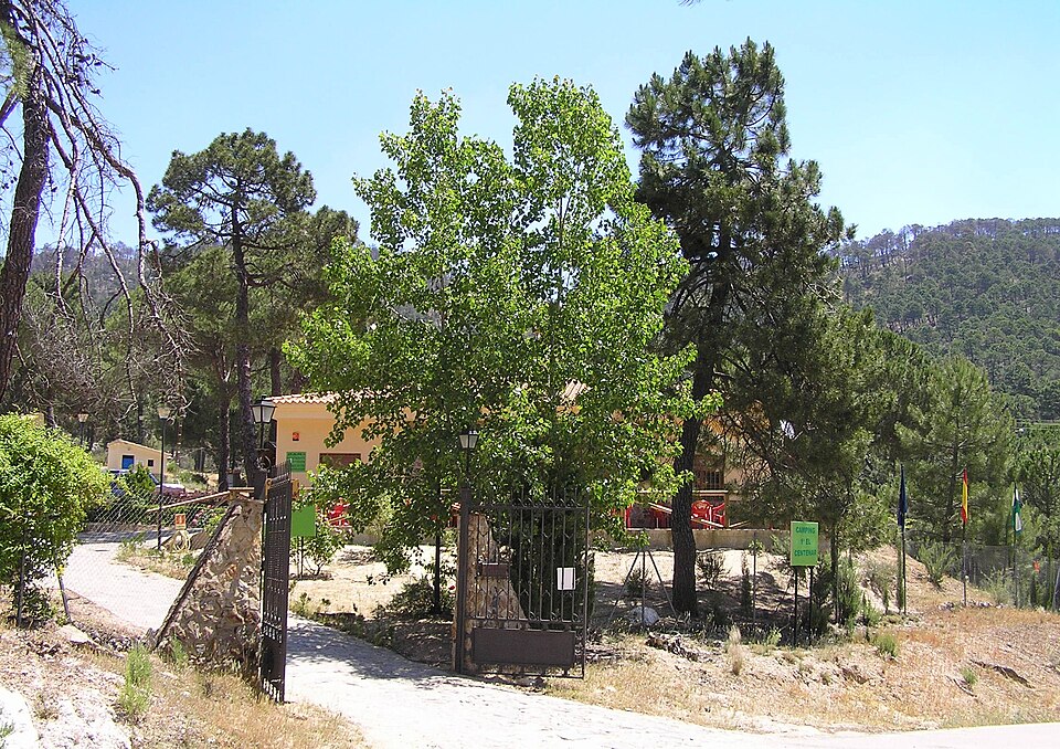 Foto 2 — Beas de Segura, Jaén (23280)