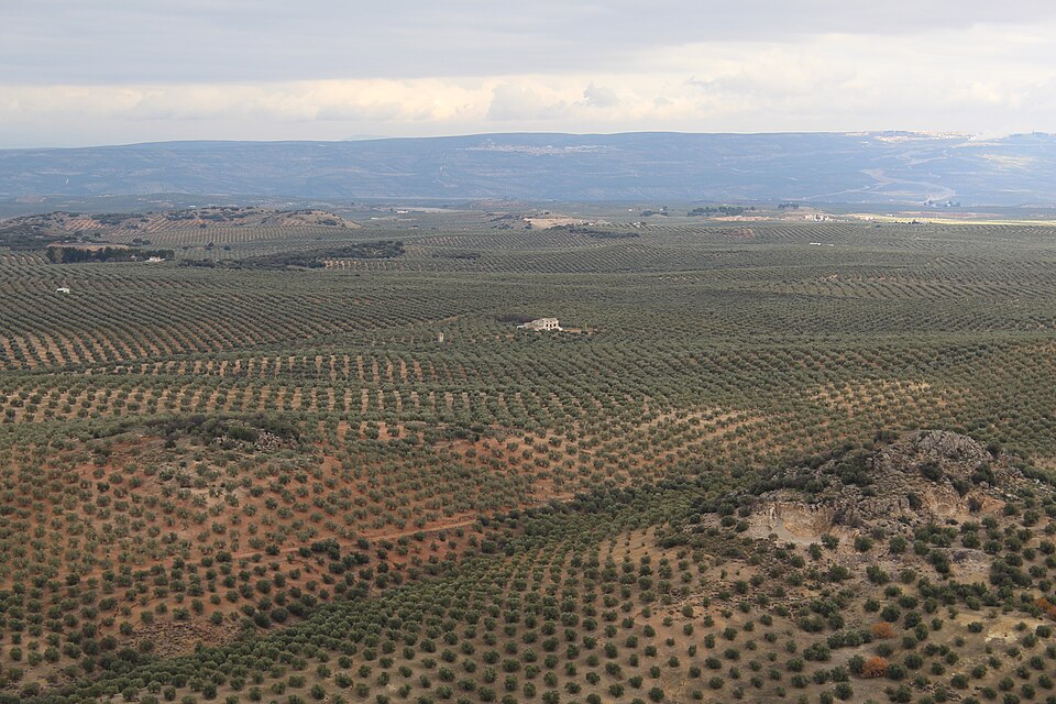 Foto 3 — Begíjar, Jaén (23014)