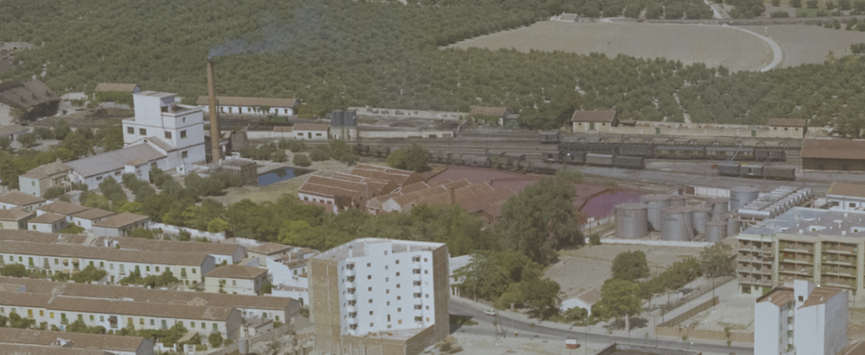 Foto 4 — Jaén, Jaén (23050)