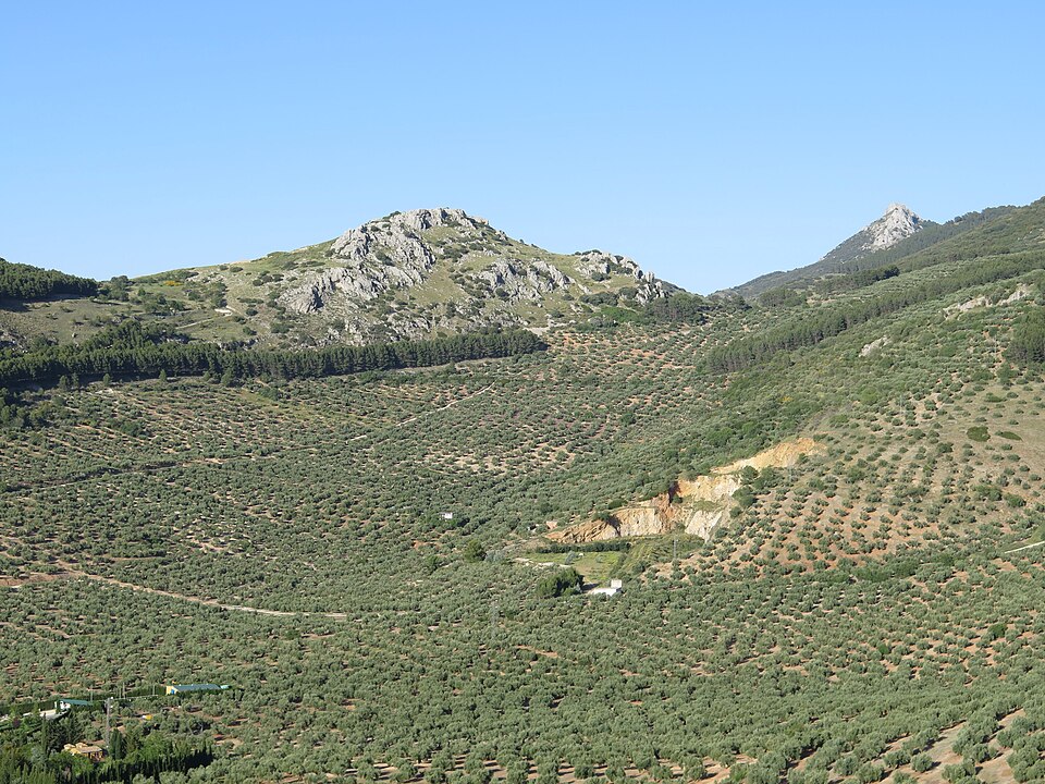 Foto 3 — Jamilena, Jaén (23658)