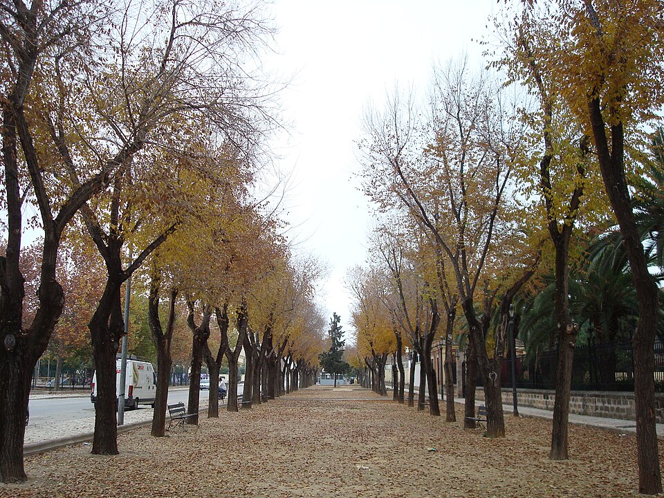 Foto 5 — Linares, Jaén (23700)