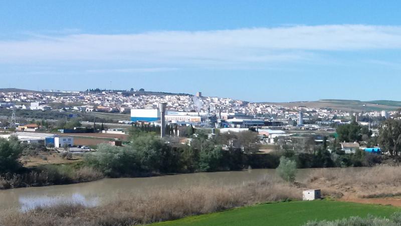 Vista de Mengíbar, Jaén (23620)