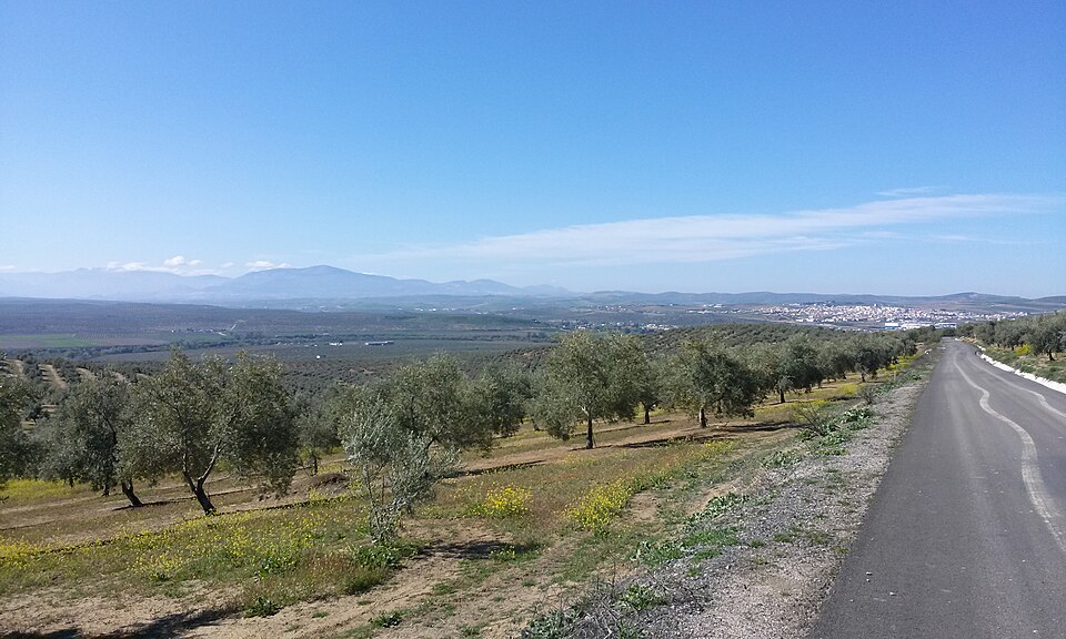 Foto 3 — Mengíbar, Jaén (23620)
