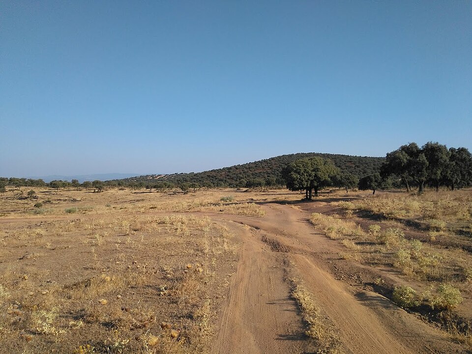 Foto 3 — Navas de San Juan, Jaén (23240)