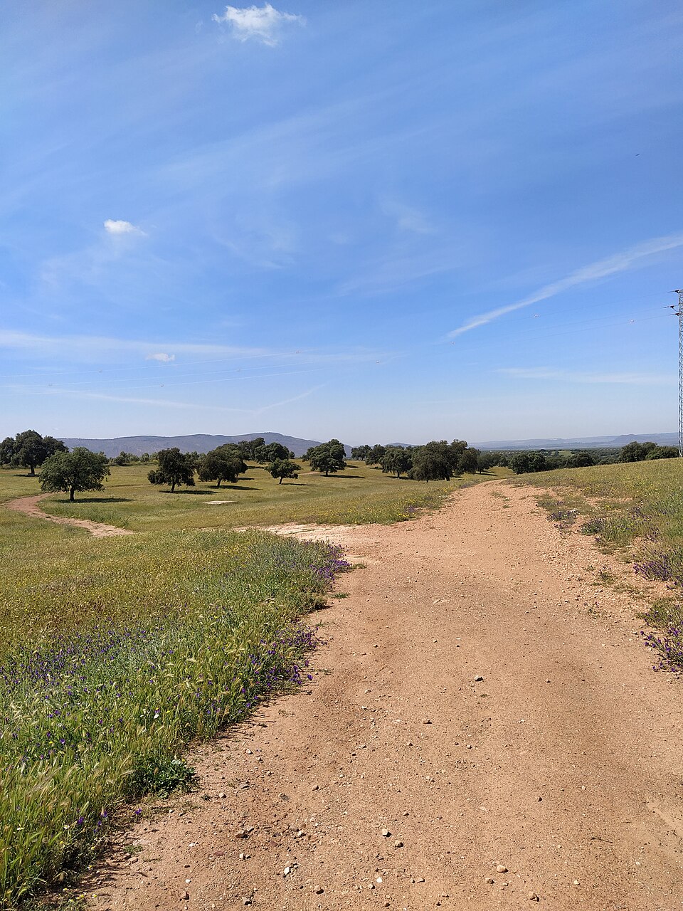 Foto 4 — Navas de San Juan, Jaén (23240)