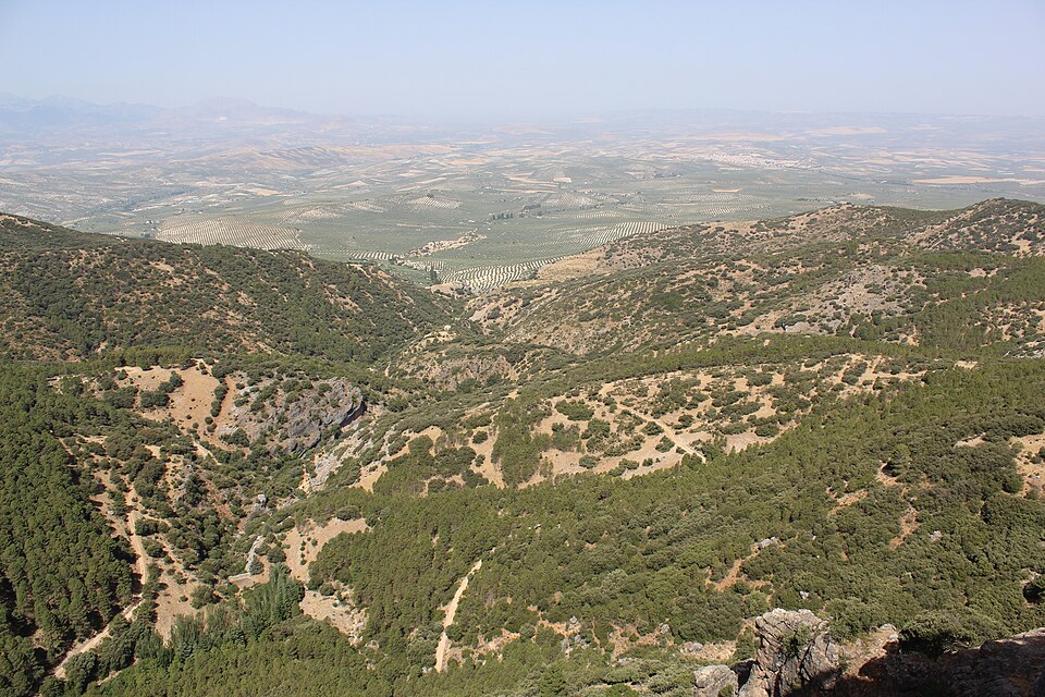 Foto 3 — Peal de Becerro, Jaén (23460)