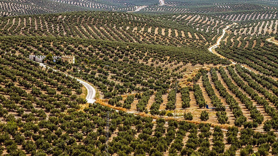 Foto 4 — Porcuna, Jaén (23790)