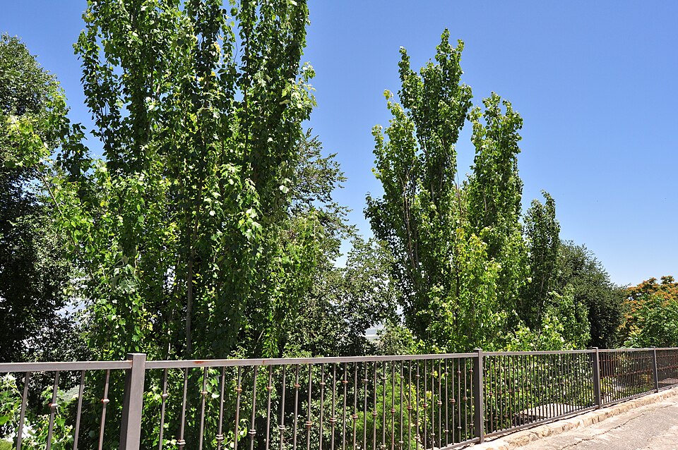 Foto 2 — Sabiote, Jaén (23410)