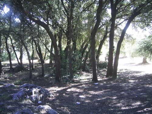 Foto 2 — Torredelcampo, Jaén (23640)