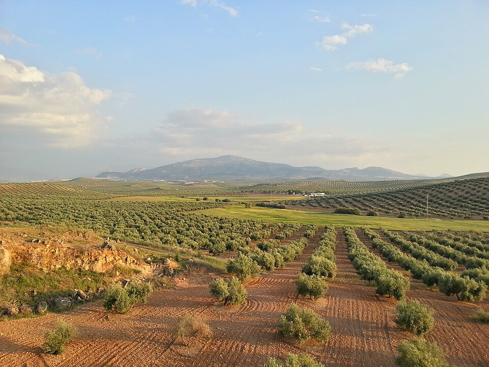 Foto 3 — Torredelcampo, Jaén (23640)