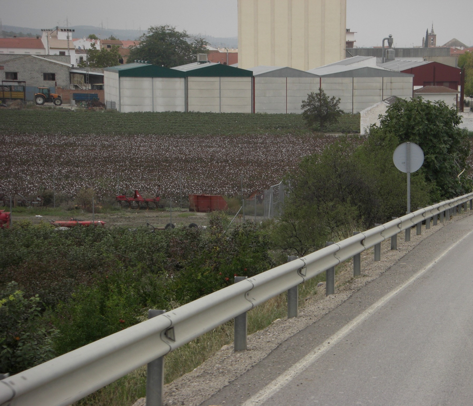 Foto 2 — Villanueva de la Reina, Jaén (23096)
