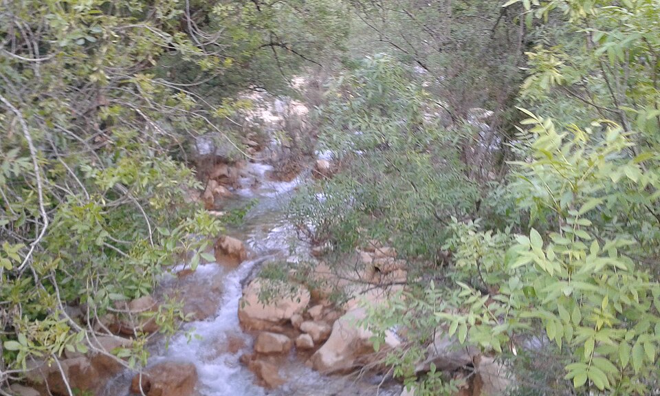 Foto 3 — Santiago-Pontones, Jaén (23904)