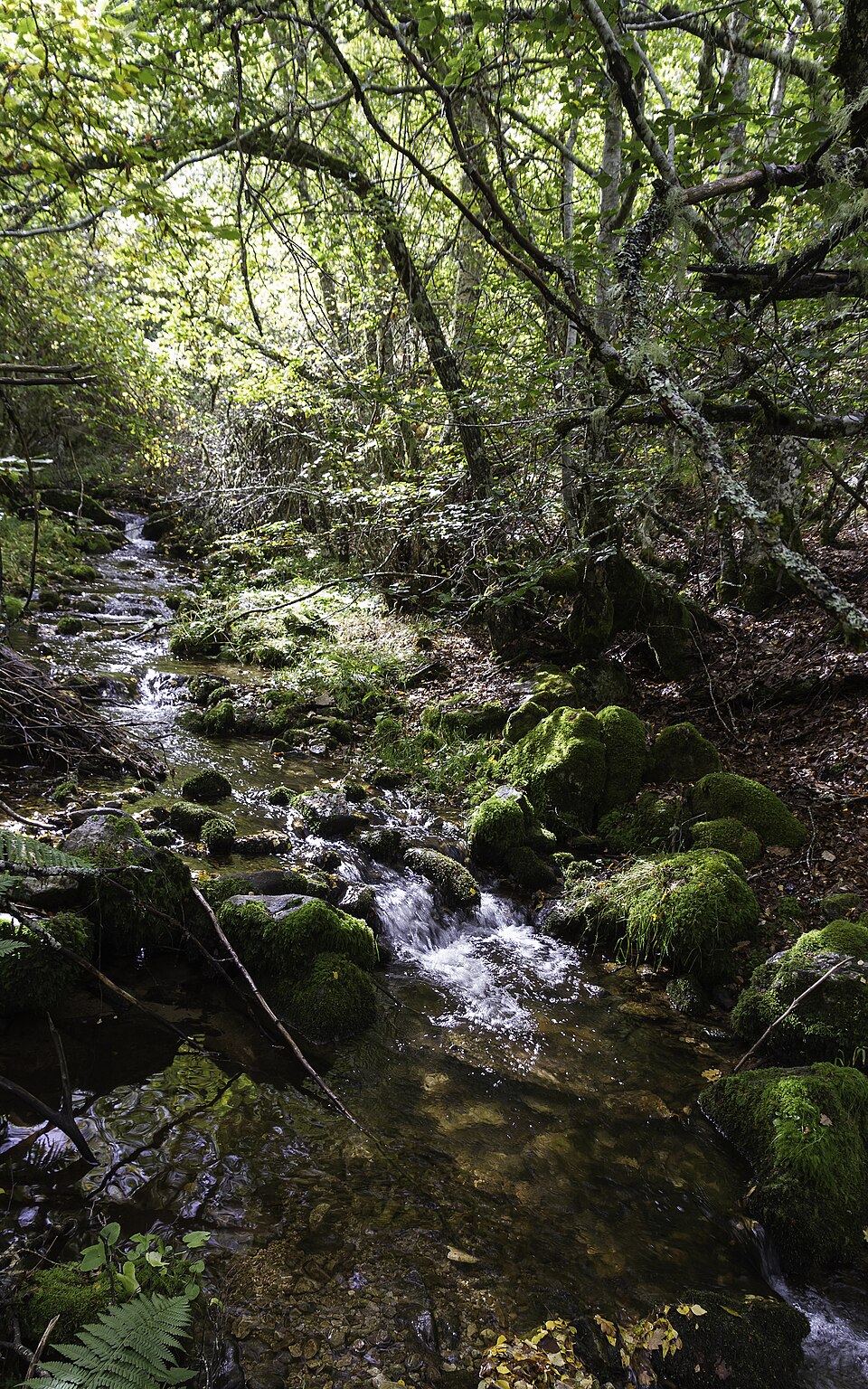 Foto 2 — Boñar, León (24850)