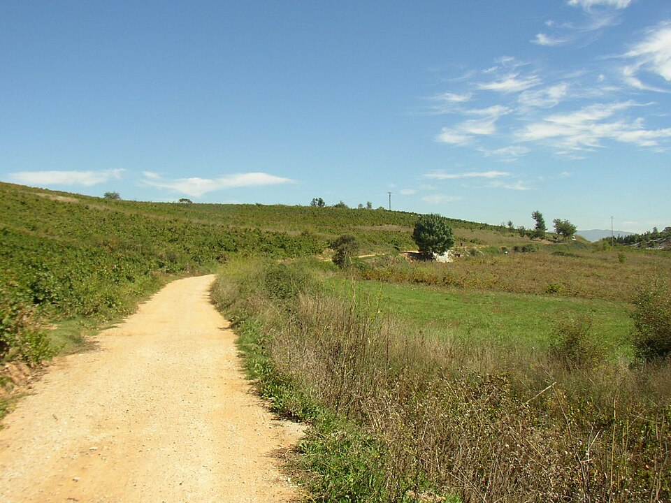 Foto 5 — Camponaraya, León (24410)