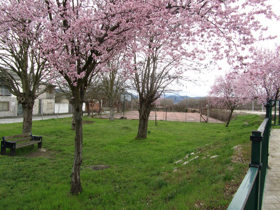 Foto 3 — Carracedelo, León (24549)