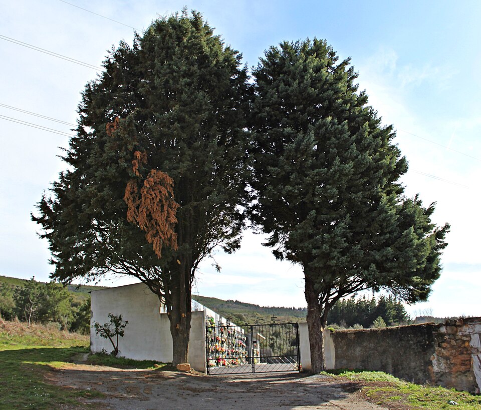 Foto 3 — Castropodame, León (24314)