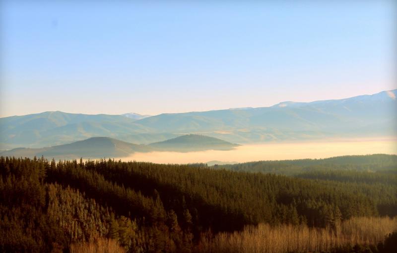 Vista de Sancedo, León (24439)