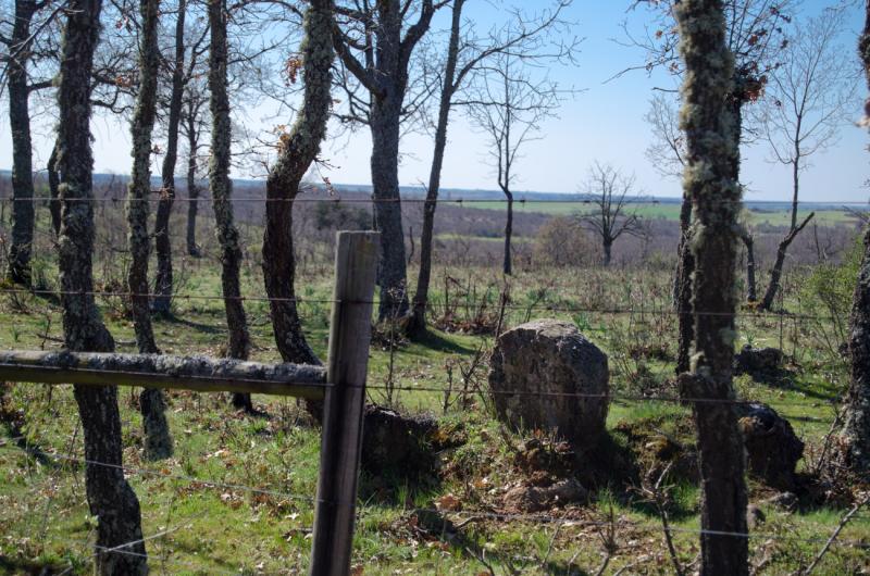 Santa María del Monte de Cea