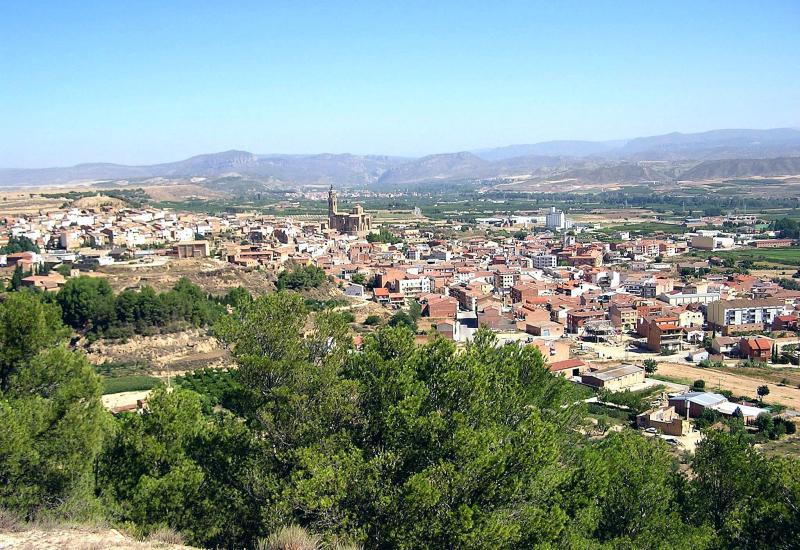 Vista de Almenar, Lleida (25021)