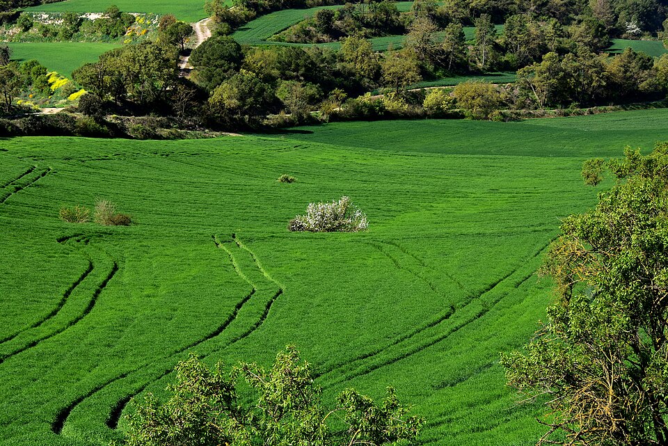 Foto 1 — Sant Guim de Freixenet, Lleida (25192)