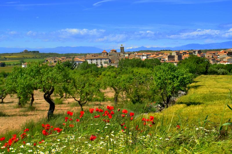Vista de Tarroja de Segarra, Lleida (25219)