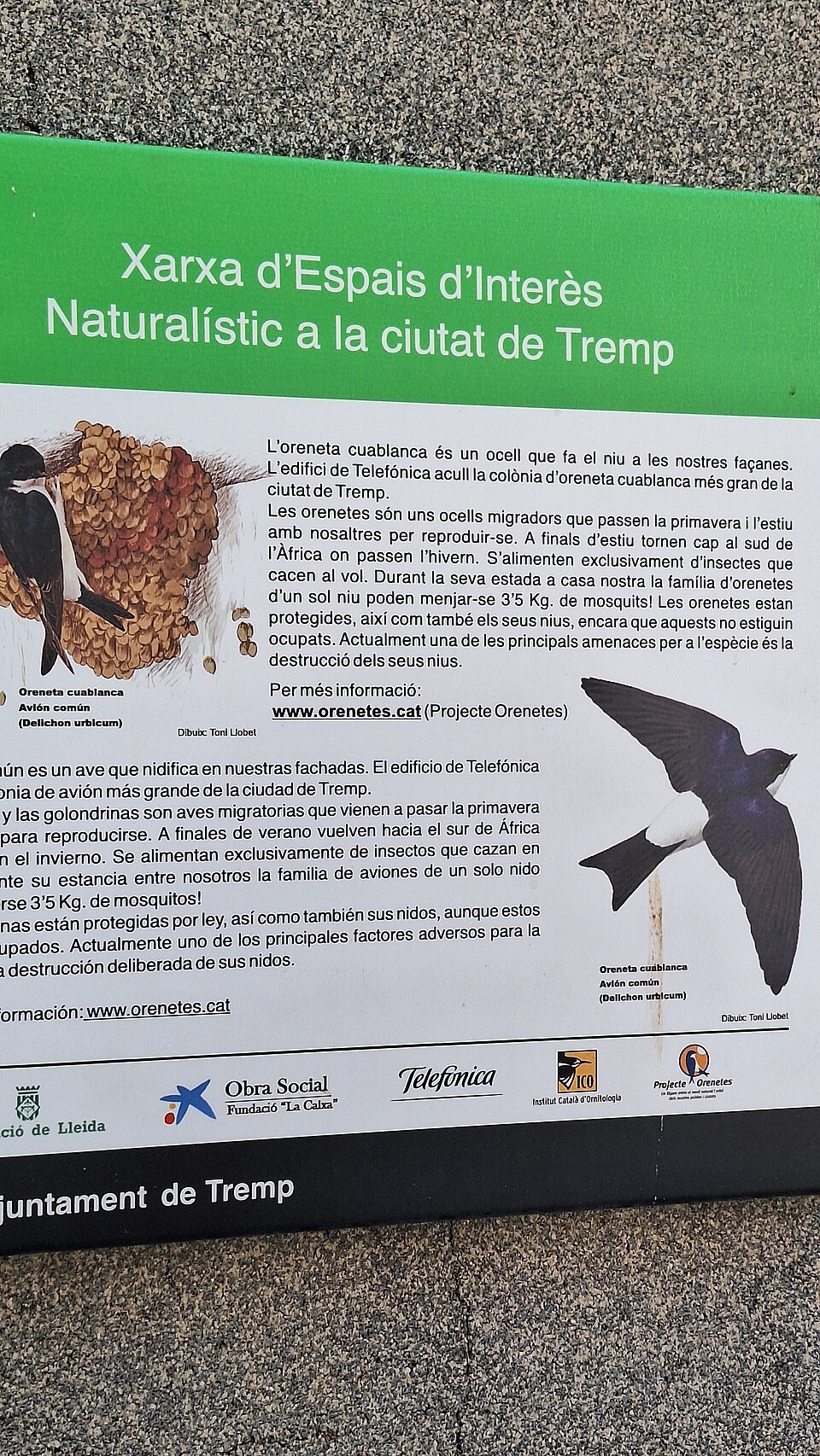 Foto 3 — Tremp, Lleida (25234)