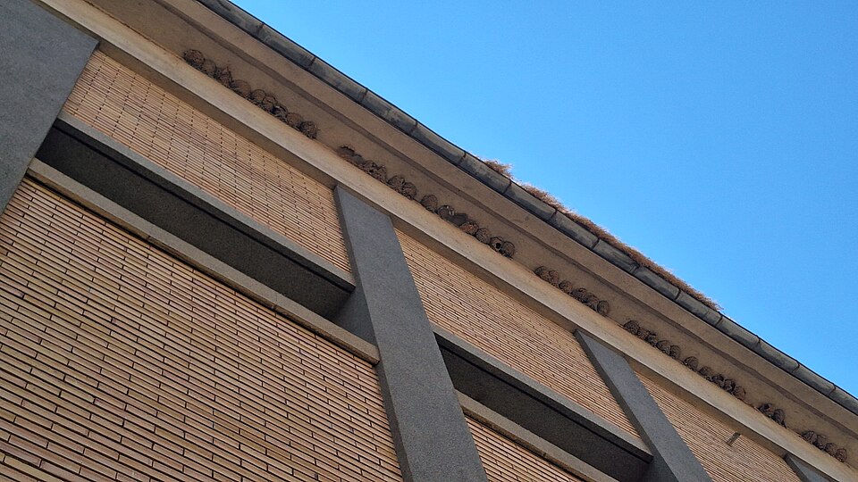Foto 4 — Tremp, Lleida (25234)