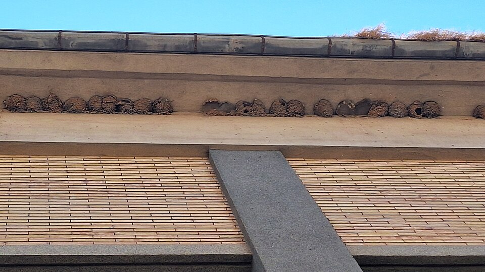 Foto 5 — Tremp, Lleida (25234)
