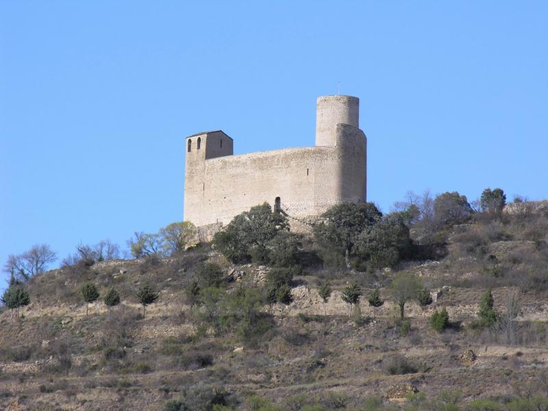 Vista de Castell de Mur, Lleida (25904)