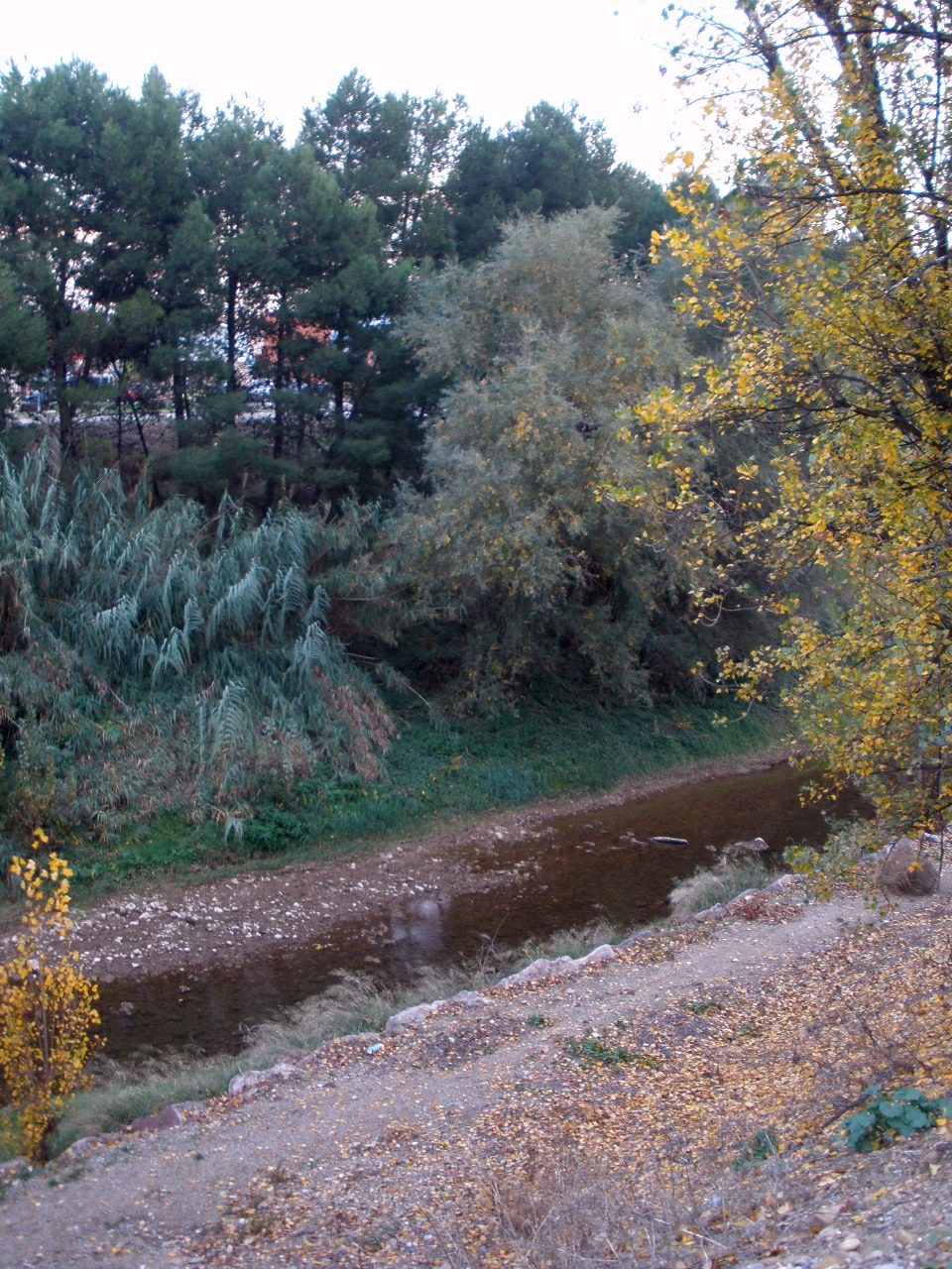 Foto 3 — Alfaro, La Rioja (26011)