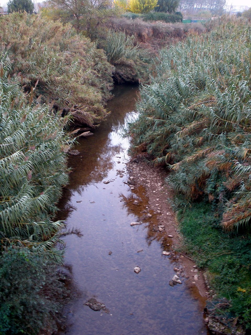 Foto 4 — Alfaro, La Rioja (26011)