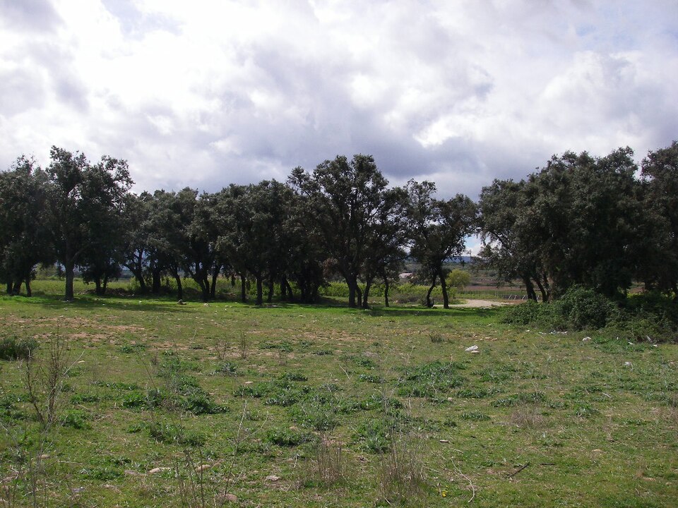 Foto 3 — Entrena, La Rioja (26059)