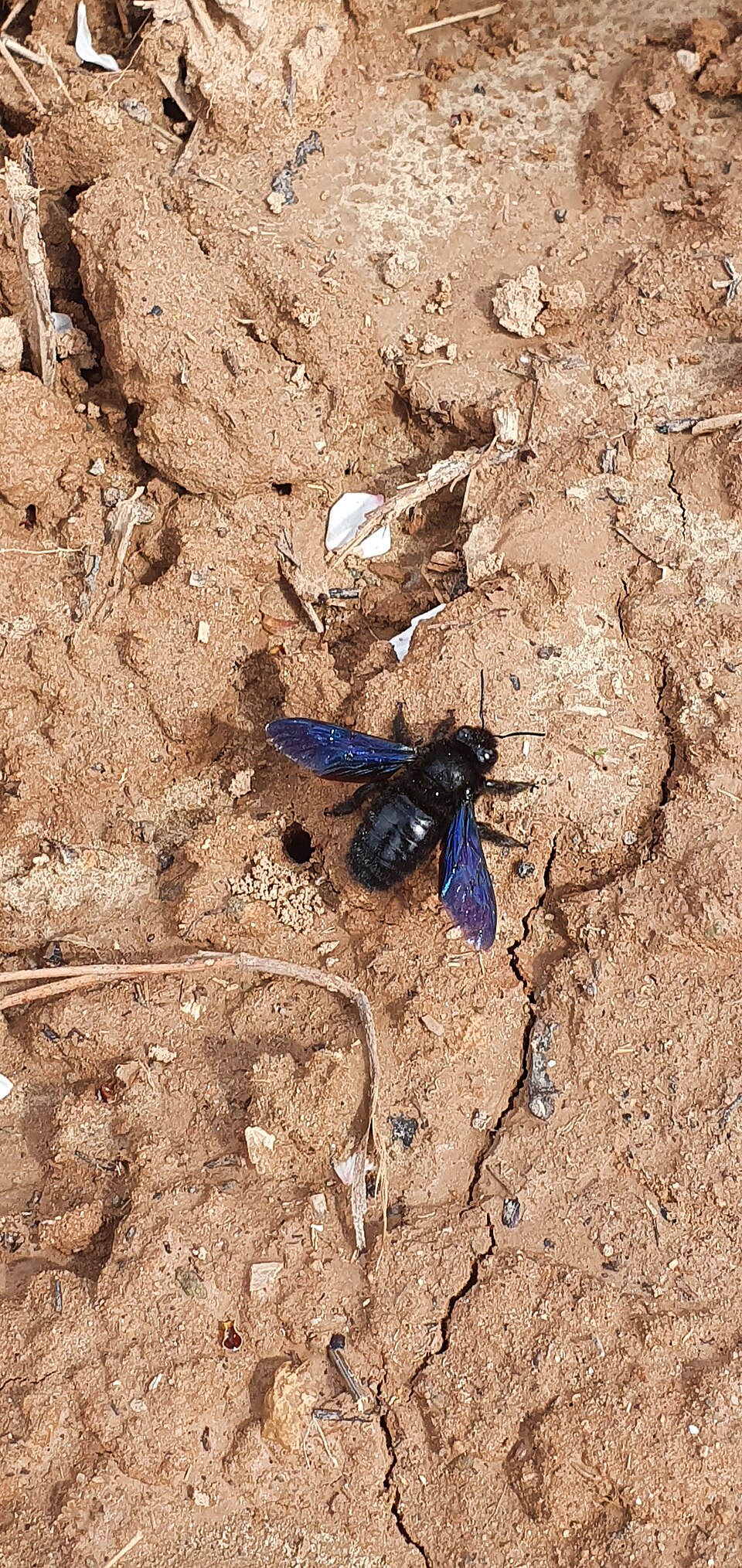 Foto 3 — Nalda, La Rioja (26103)