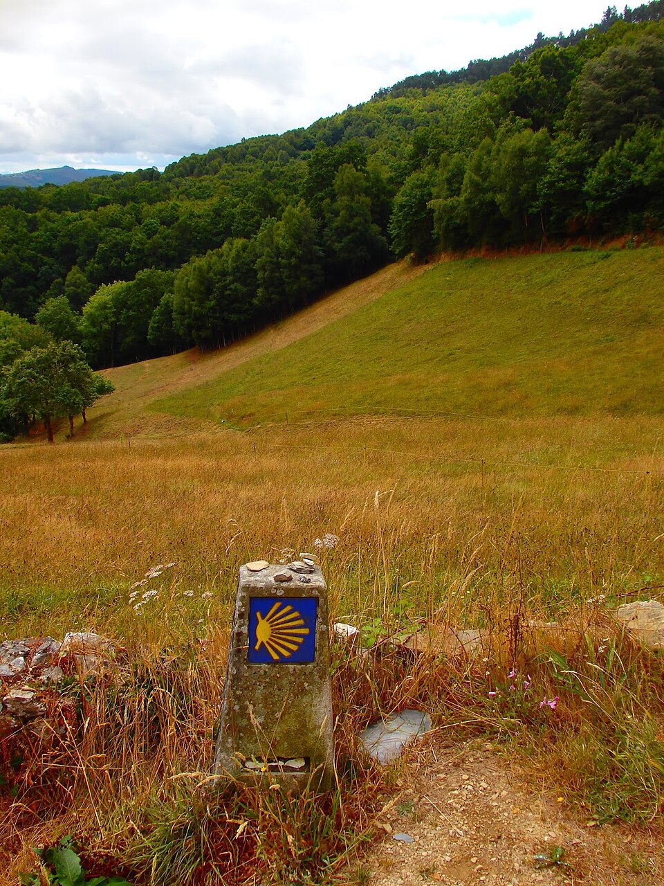 Foto 2 — Baleira, Lugo (27004)