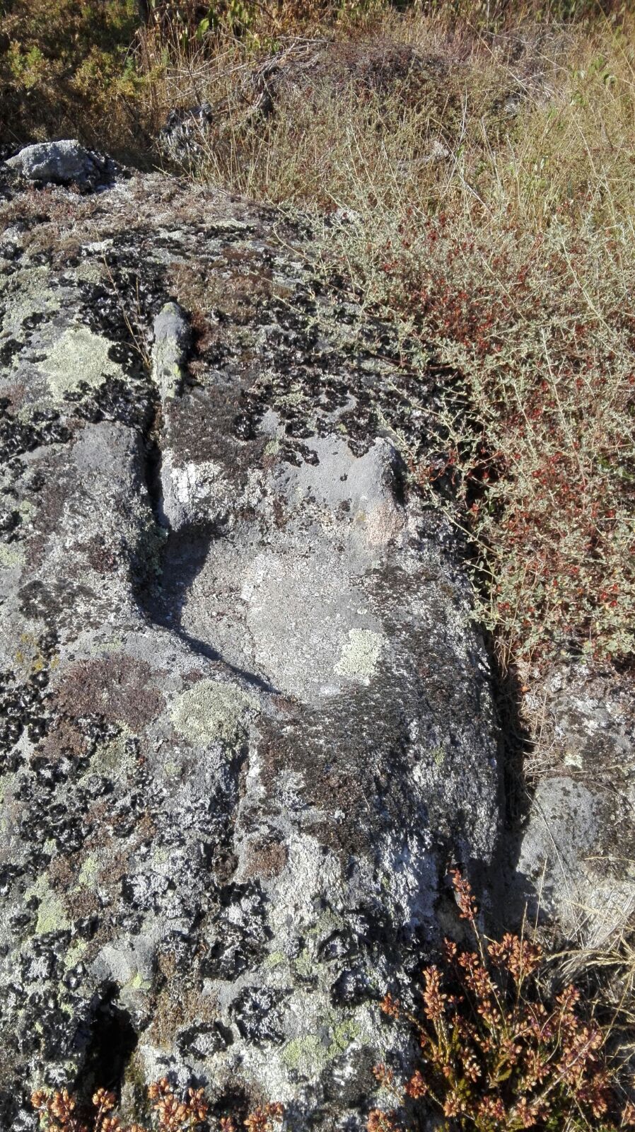 Foto 2 — Carballedo, Lugo (27009)