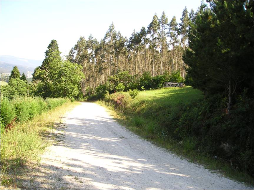Foto 1 — Lourenzá, Lugo (27027)