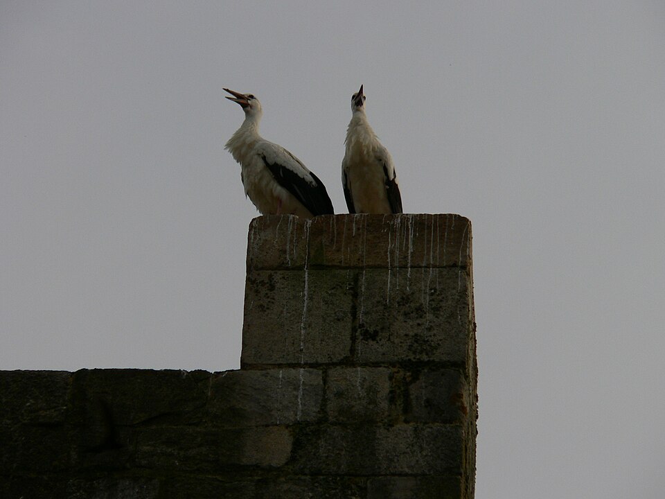 Foto 2 — Portomarín, Lugo (27049)