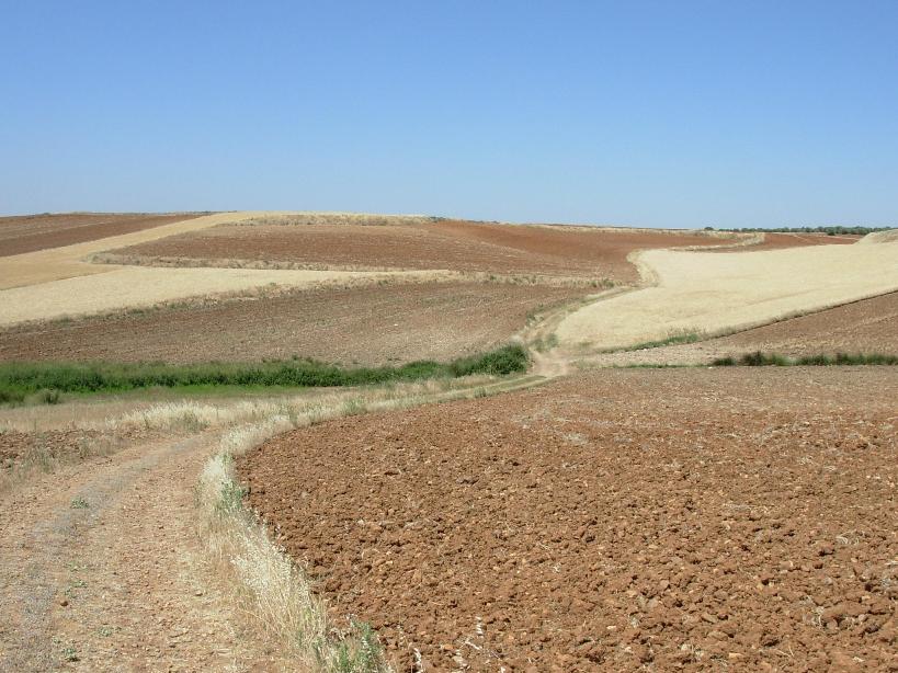 Foto 5 — Ajalvir, Madrid (28864)