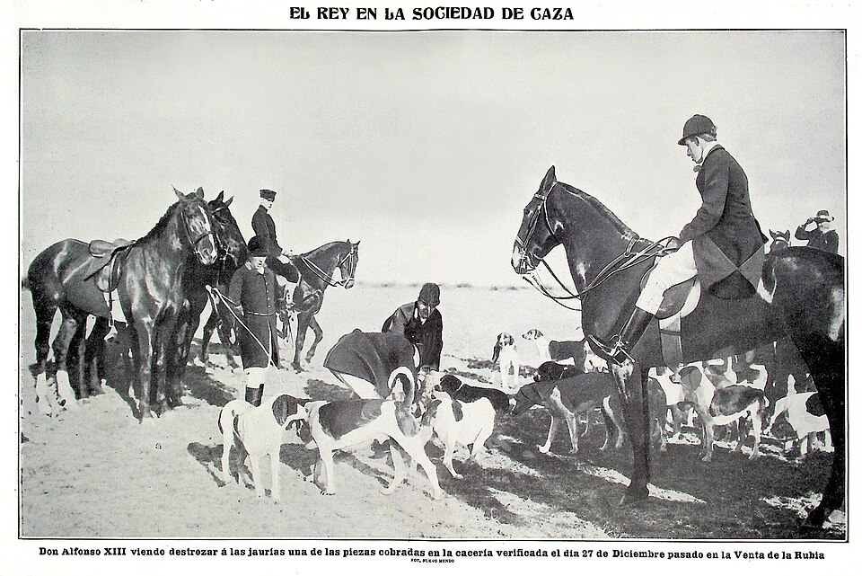Foto 4 — Alcorcón, Madrid (28007)