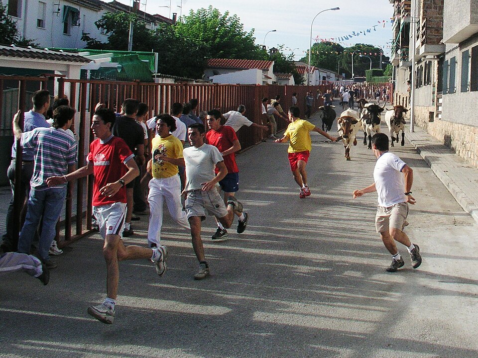Foto 3 — Aldea del Fresno, Madrid (28620)