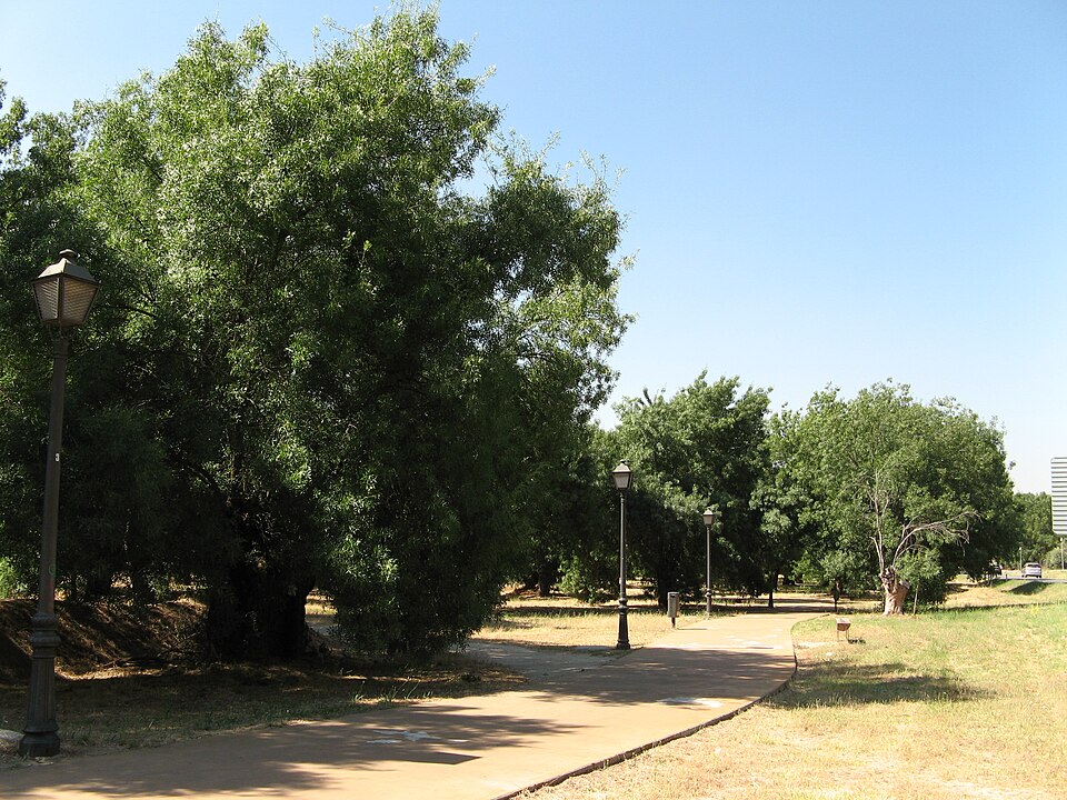 Foto 2 — Boadilla del Monte, Madrid (28660)
