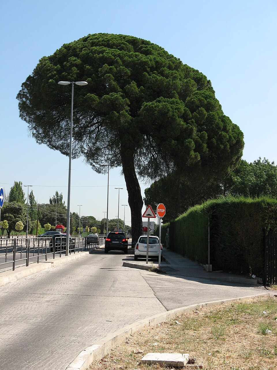 Foto 3 — Boadilla del Monte, Madrid (28660)