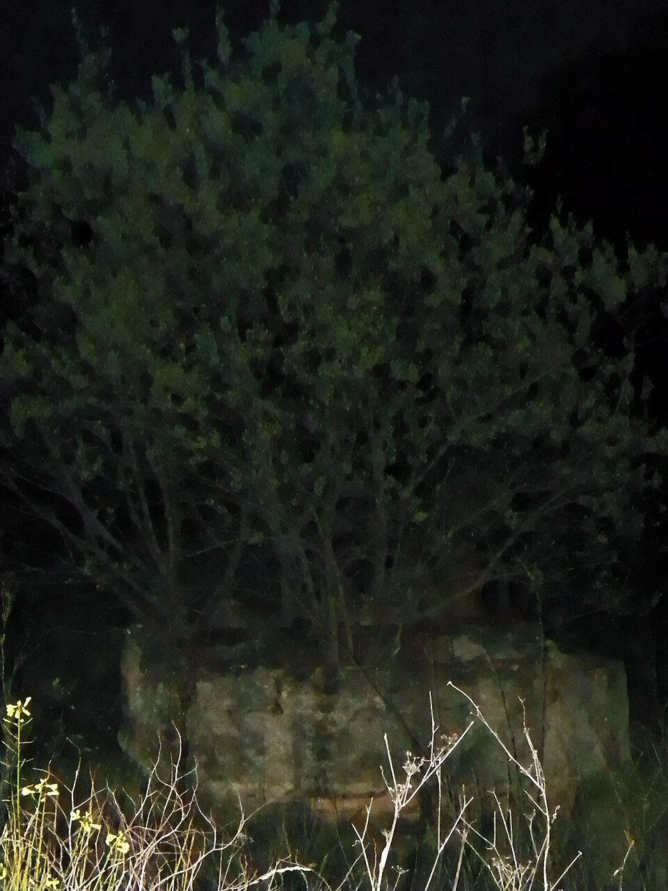 Foto 5 — Cadalso de los Vidrios, Madrid (28640)