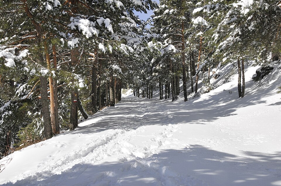 Foto 3 — Cercedilla, Madrid (28470)