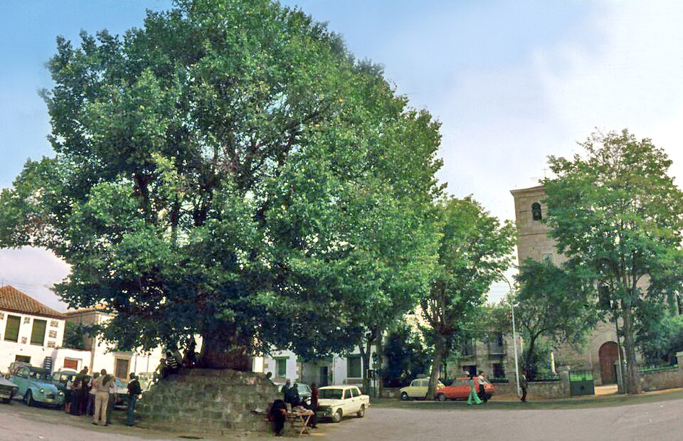 Foto 3 — Colmenar del Arroyo, Madrid (28213)