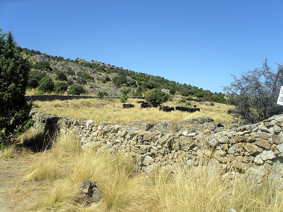 Foto 4 — Guadalix de la Sierra, Madrid (28794)