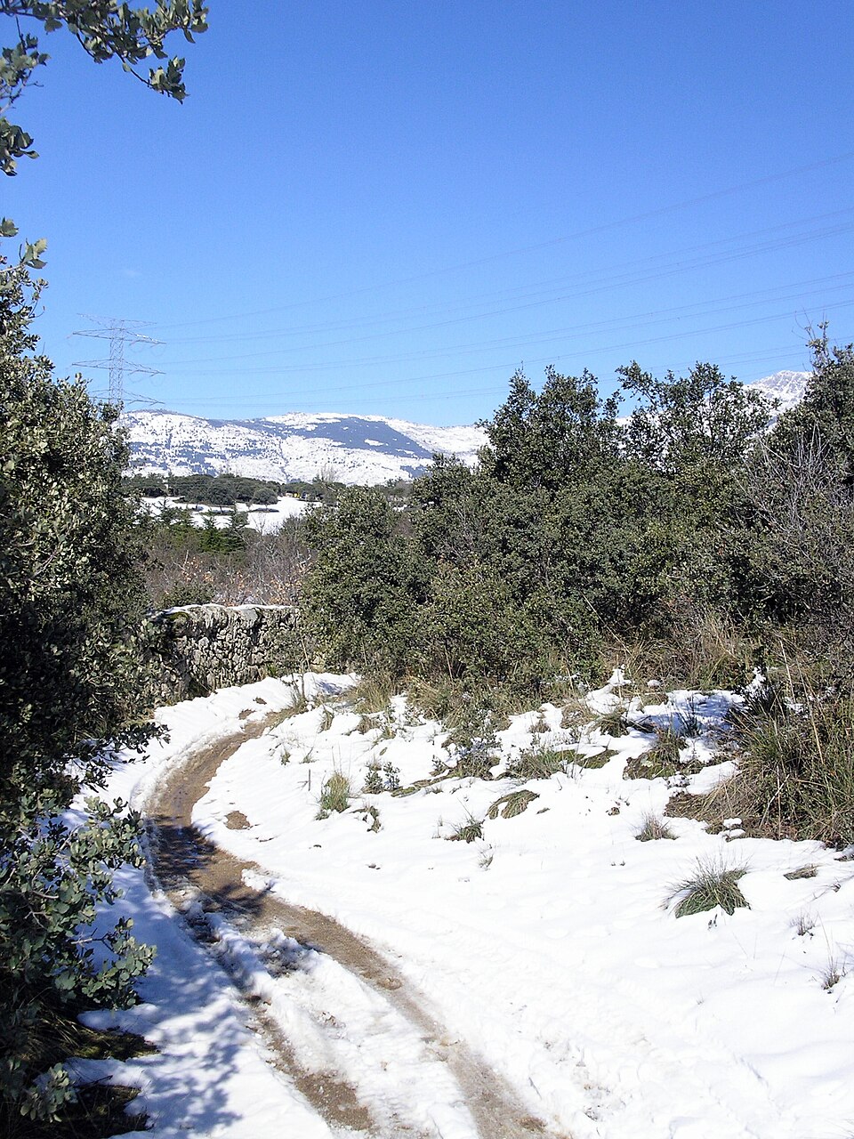 Foto 3 — Guadarrama, Madrid (28440)