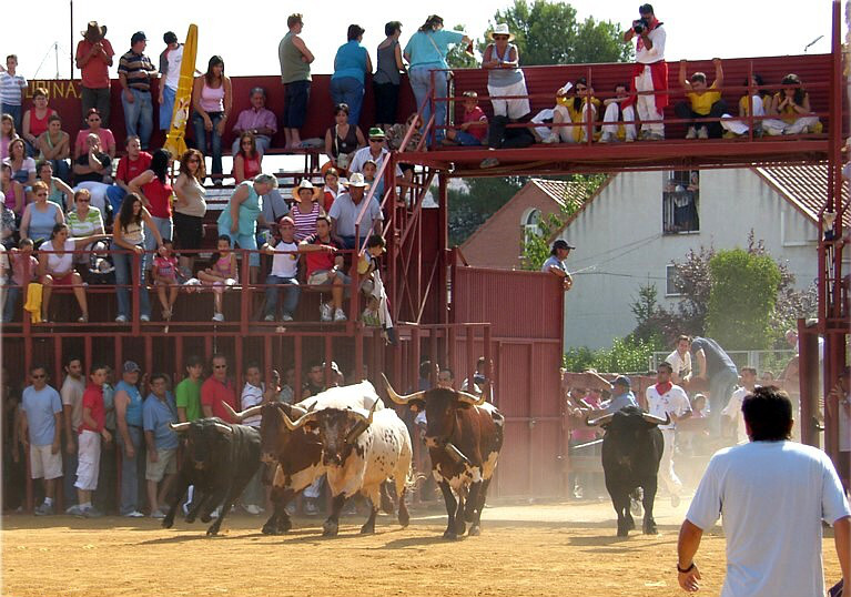 Foto 3 — Loeches, Madrid (28890)